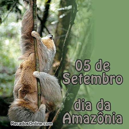 Recado Para Orkut -
 Dia da Amazônia: 2