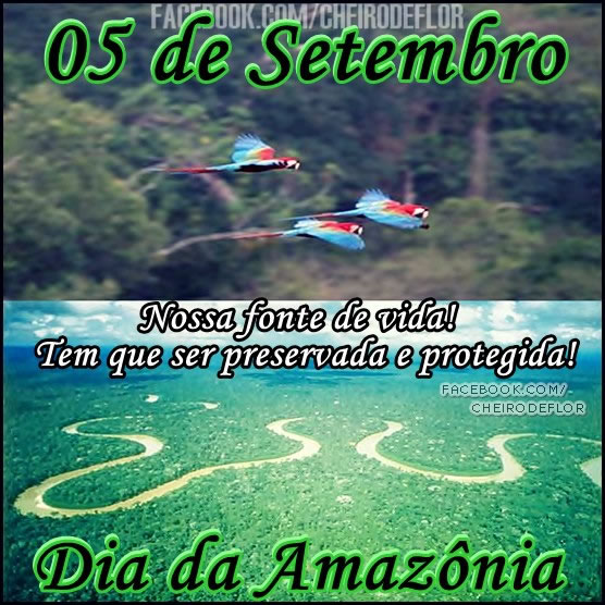 Dia da Amazônia Imagem 1