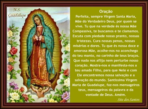 Dia de Nossa Senhora de Guadalupe Imagem 4
