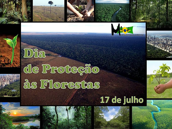 Dia de Proteção às Florestas Imagem 2