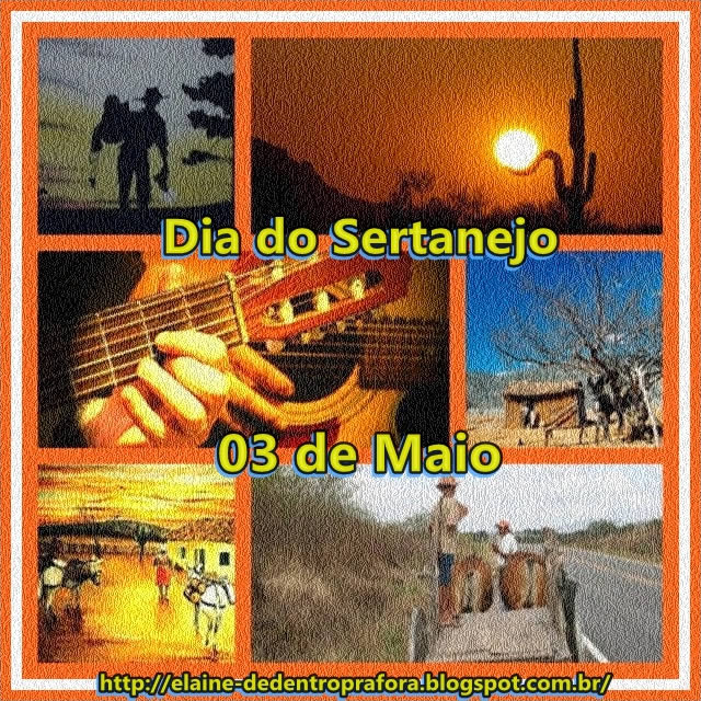 Dia do Sertanejo Imagem 4