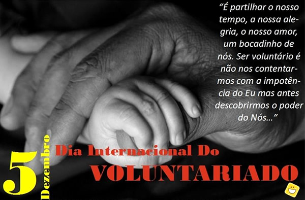 Dia Internacional do Voluntariado Imagem 3