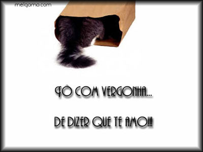 Tô com vergonha... De dizer que te amo!