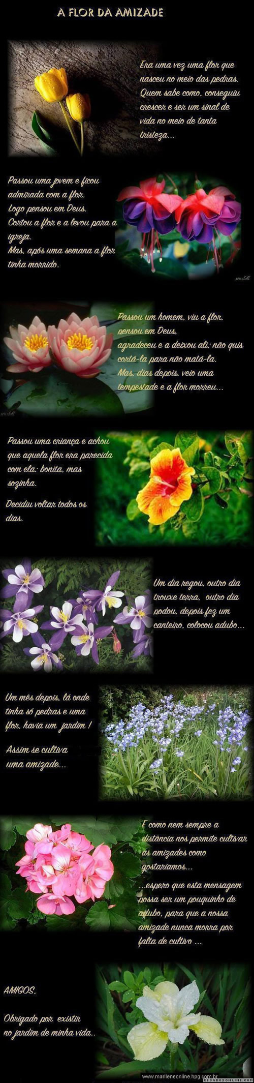 Recados Grandes imagem