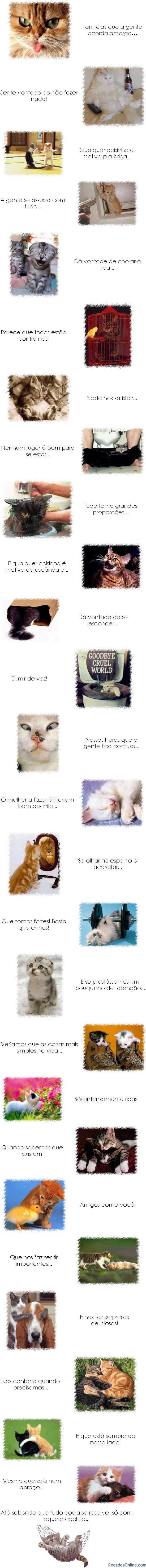 Recados Grandes imagem