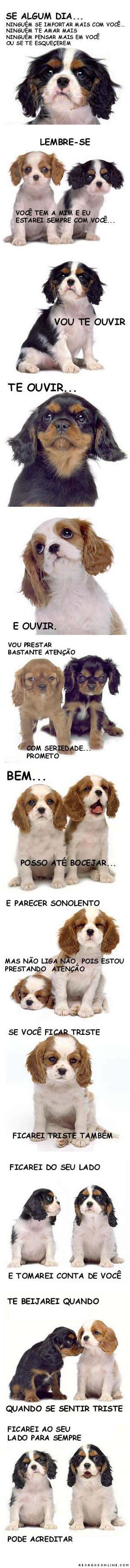 Recados Grandes imagem