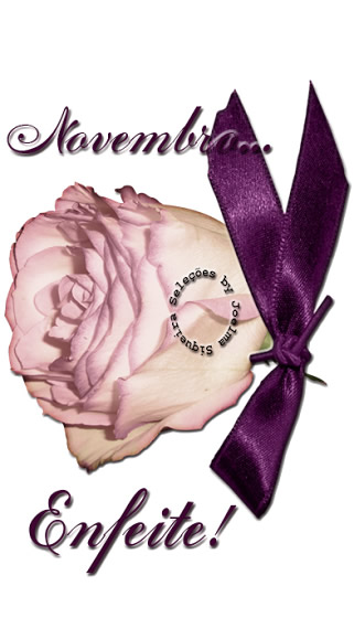 Novembro... Enfeite!