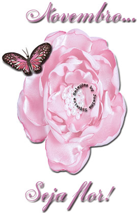 Novembro... Seja flor!