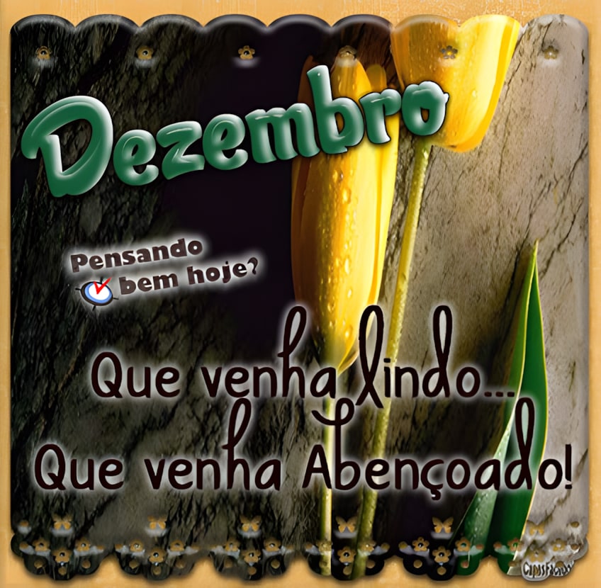 Dezembro. Que venha lindo...Que venha abençoado!