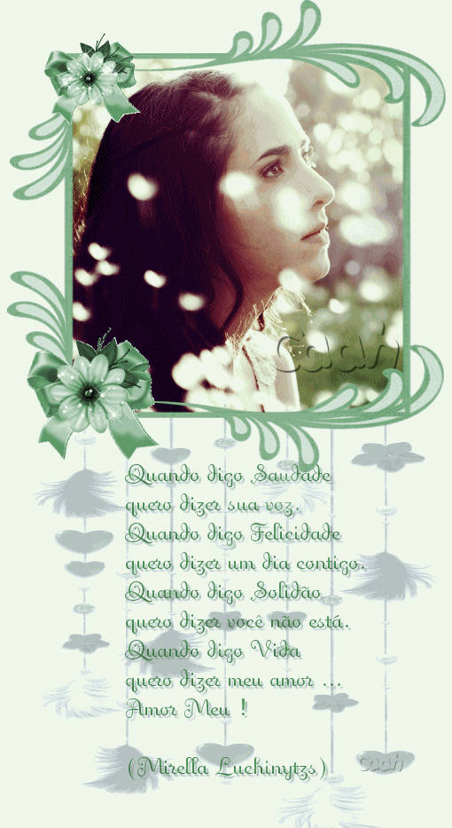 Quando digo Saudade quero dizer sua voz. Quando digo Felicidade quero dizer...