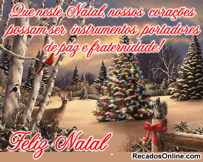 Que neste Natal, nossos corações possam ser instrumentos...