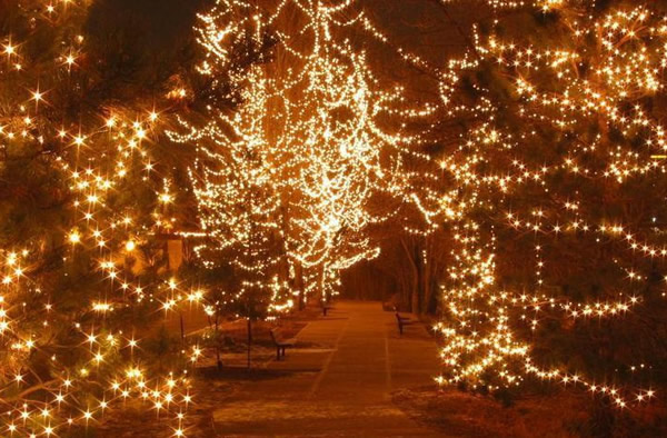 Pisca-Pisca imagem 20