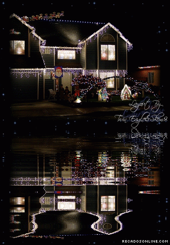 Pisca-Pisca imagem 15