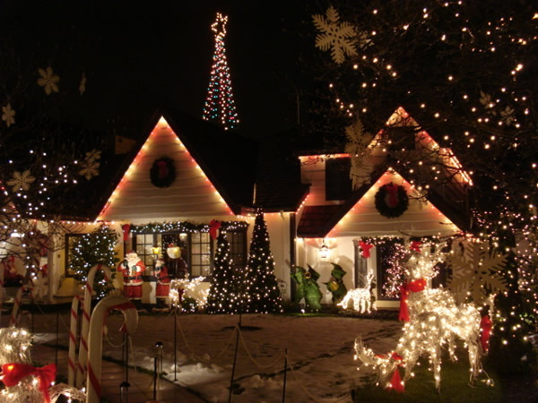 Pisca-Pisca imagem 14