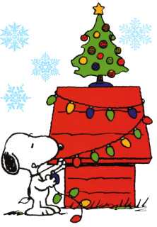 Pisca-Pisca imagem 13