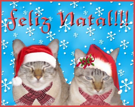 Feliz Natal!!!