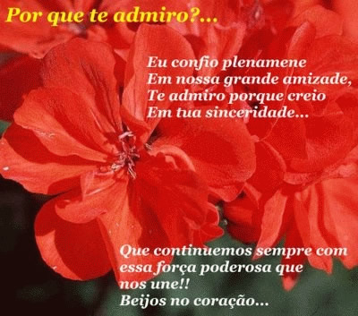 Por que te admiro?... Eu confio plenamente Em nossa grande amizade Te admiro...