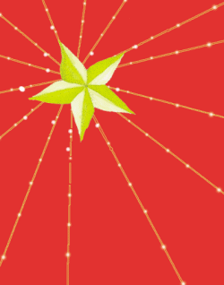 Decorações de Natal