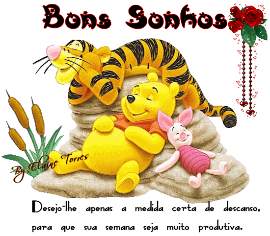 Bons Sonhos. Desejo-lhe apenas a medida certa de descanso, para que sua...