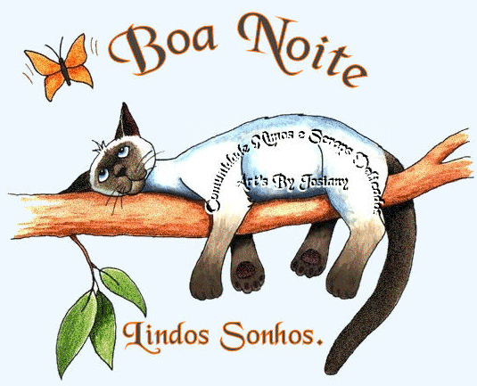 Boa Noite, Lindos Sonhos.