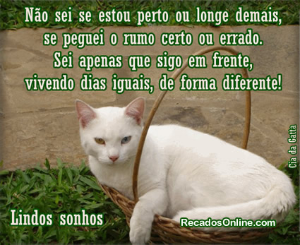 Não sei se eu estou perto ou longe demais, se peguei o rumo certo ou...