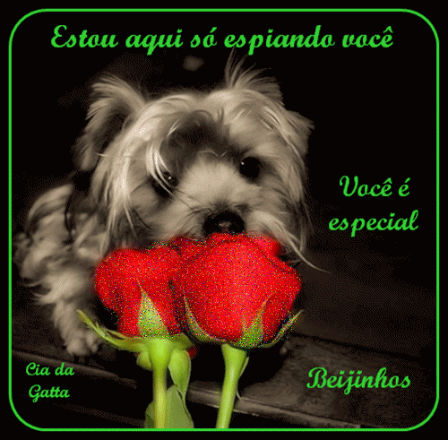 Estou aqui só espiando você. Você é especial...