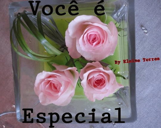 Você é Especial.