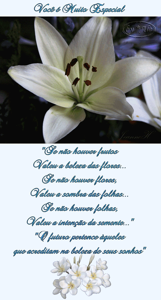 Você é Muito Especial! Se não houver frutos, Valeu a...