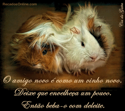 O amigo novo é como um vinho novo. Deixe que envelheça um...