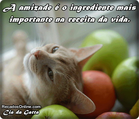 A amizade é o ingrediente mais importante na receita da vida.