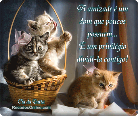 A amizade é um dom que poucos possuem... È um...