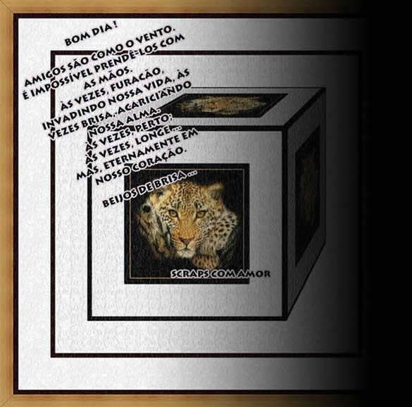 Bom dia! Amigos são como o vento. É impossível...