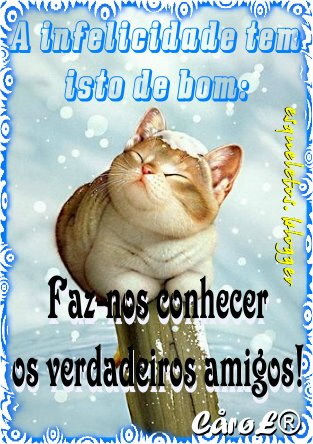 A infelicidade tem isto de bom: Faz nos conhecer os verdadeiros amigos!