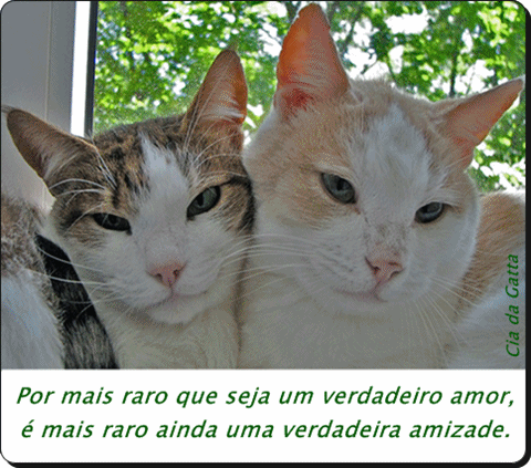 Por mais raro que seja um verdadeiro amor, é mais raro ainda uma...