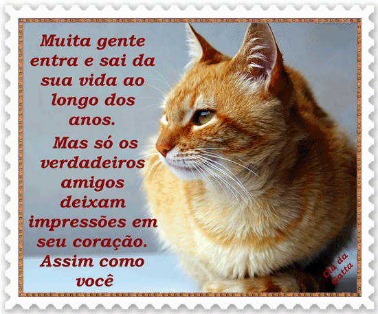 Muita gente entra e sai da sua vida ao longo dos anos. Mas só os...