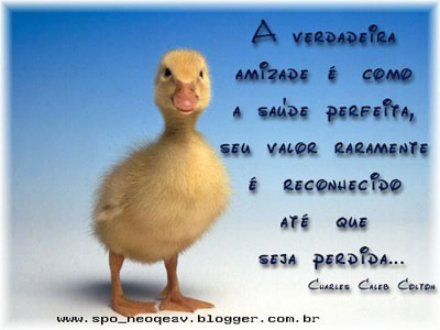 "A verdadeira amizade é como a saúde perfeita seu valor...