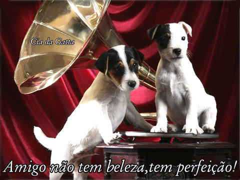 Amigo não tem beleza, tem perfeição!