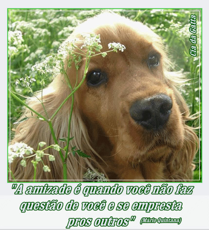 "Amizade é quando você não faz questão de...