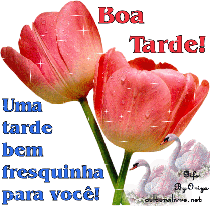 Boa Tarde! Uma tarde bem fresquinha para você!