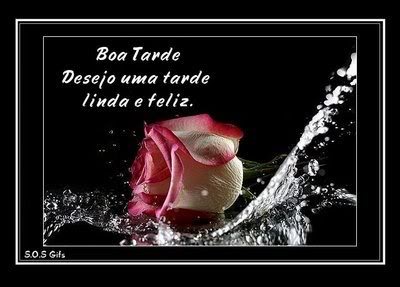 Boa Tarde Desejo uma tarde linda e feliz.