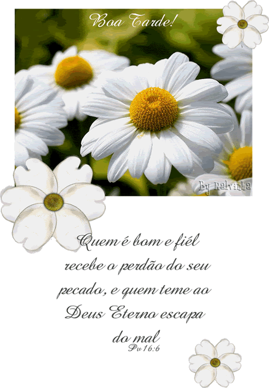 Boa tarde! Quem é bom e fiel recebe o perdão do seu pecado, e...