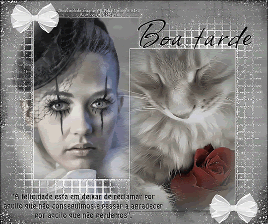 Boa tarde A felicidade está em deixar de reclamar por aquilo que...