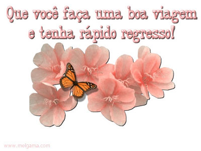 Que você faça uma Boa Viagem e tenha rápido regresso!