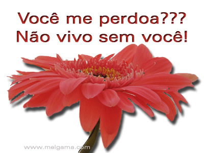 Sinto Muito imagem 11