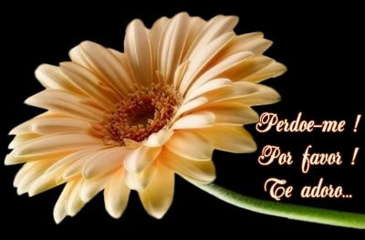 Sinto Muito imagem 16