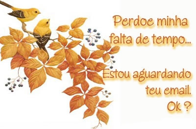 Sinto Muito imagem 20