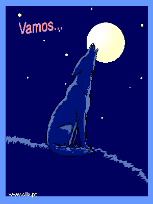 Sinto Muito imagem 1