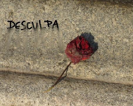 Sinto Muito imagem 10