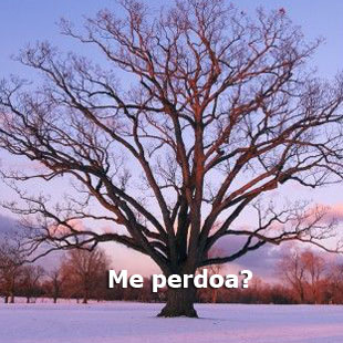 Sinto Muito imagem 5