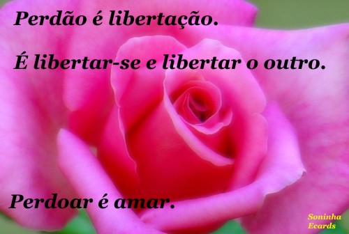 Sinto Muito imagem 7